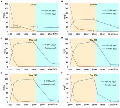 New insight into the granule formation in the reactor for enhanced biological phosphorus removal